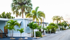 mobile homes and palm trees